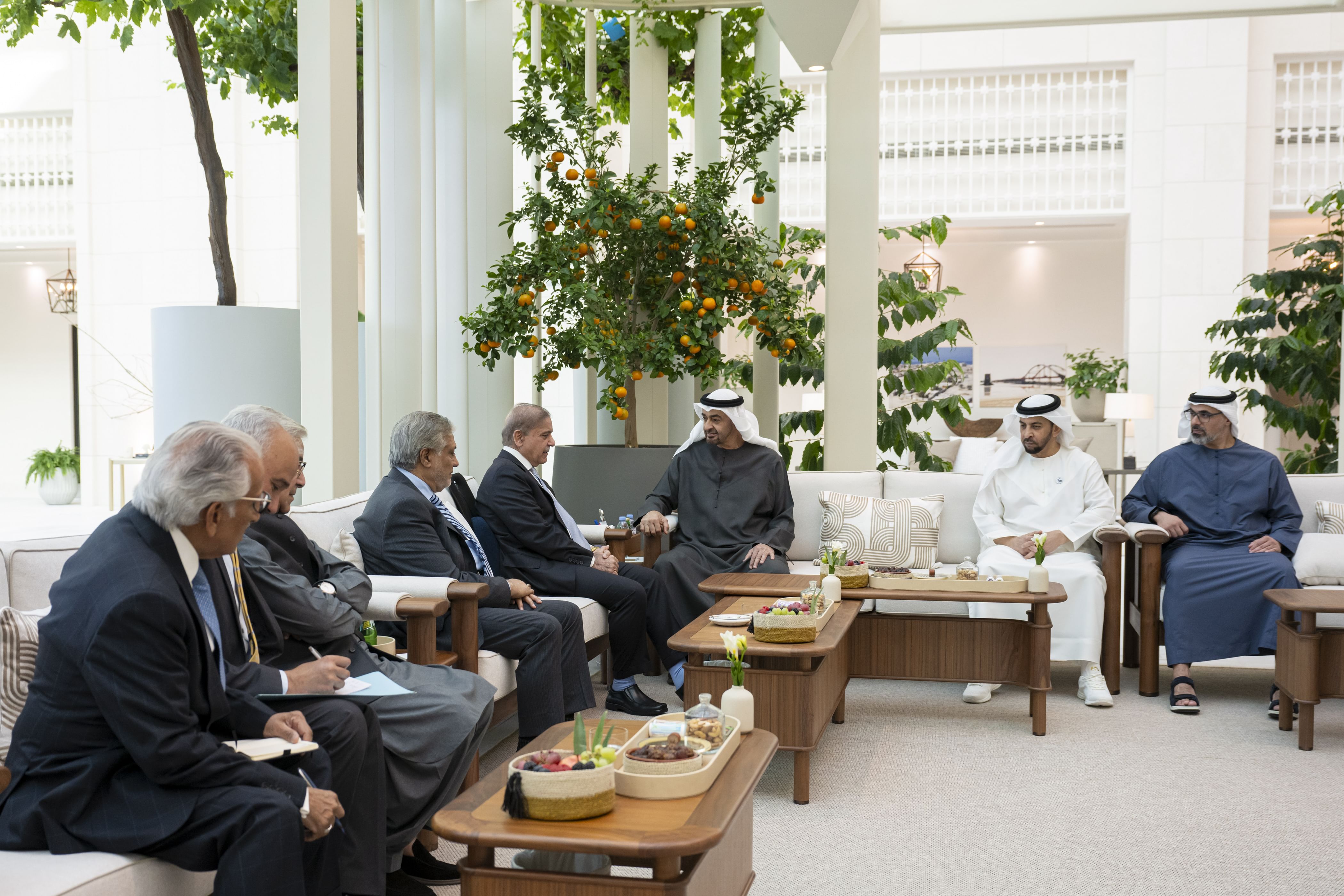 UAE commits US$ 10 billion to boost Pakistan's economy